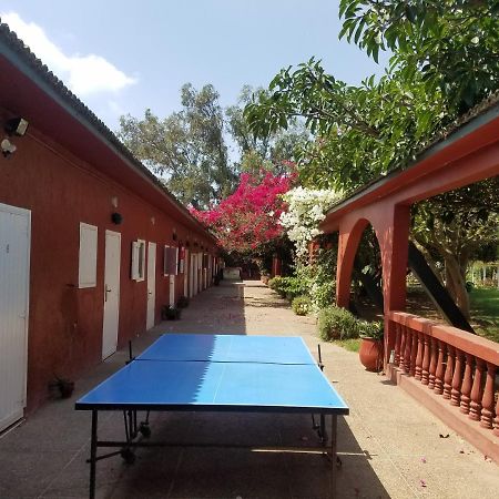 Ferme Hippique Chtouka Bed & Breakfast Dar Said Ben Hajj Dış mekan fotoğraf