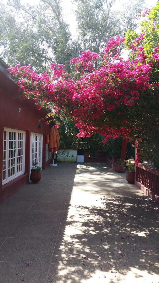 Ferme Hippique Chtouka Bed & Breakfast Dar Said Ben Hajj Dış mekan fotoğraf